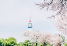 South Korea Travel Spots: Let’s Go South South Korea Travel Spots